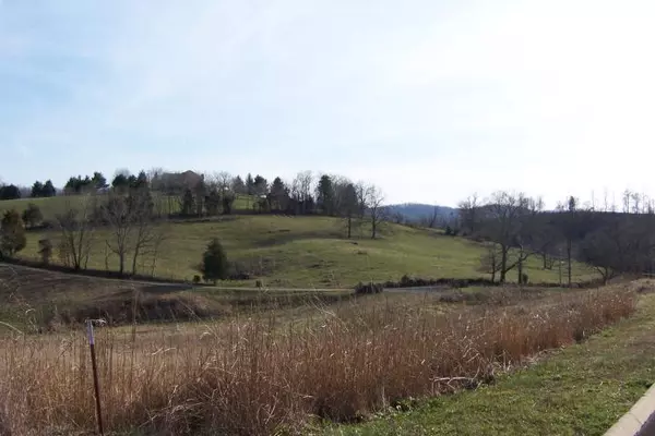 Maynardville, TN 37807,Glen - Lot 17 Rd