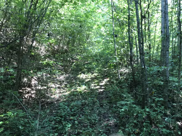 Coy Rhea WAY, Sevierville, TN 37876