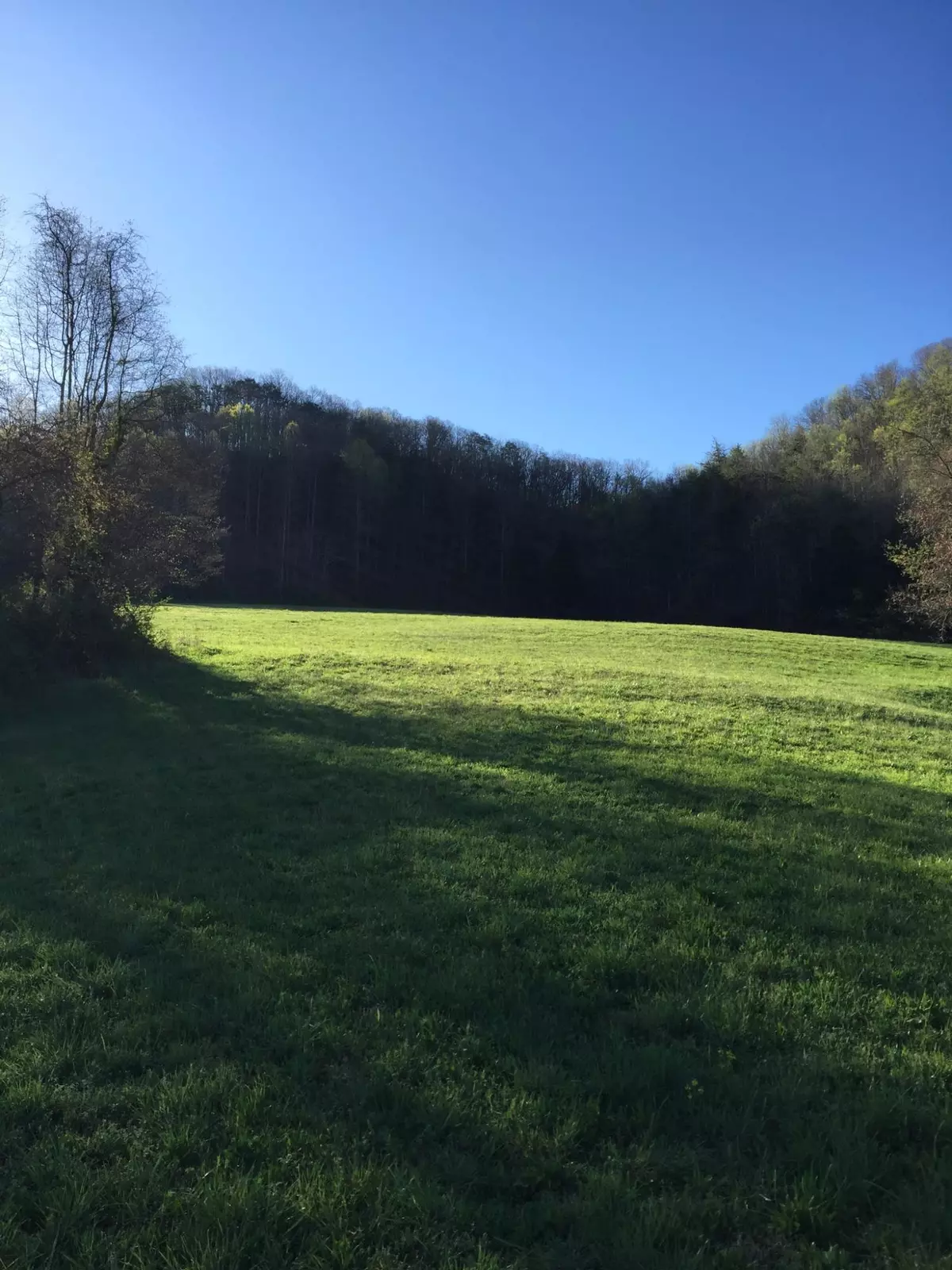 Maynardville, TN 37807,Kanott LN