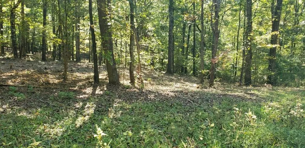 Lot 11 County Road 263, Niota, TN 37826