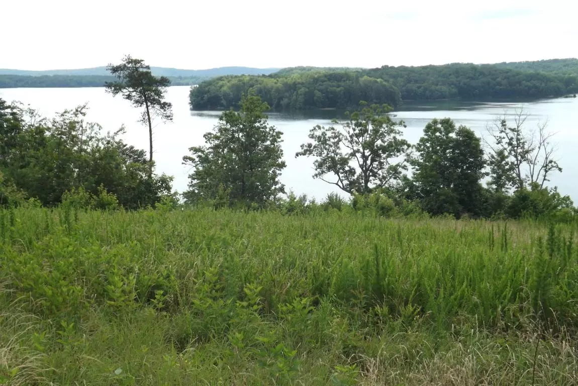 Spring City, TN 37381,Lot 48 River Run Tr