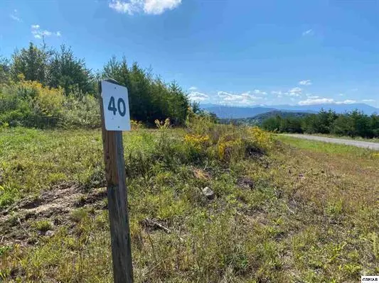 Sevierville, TN 37876,Lot 40 Mountain Ash WAY