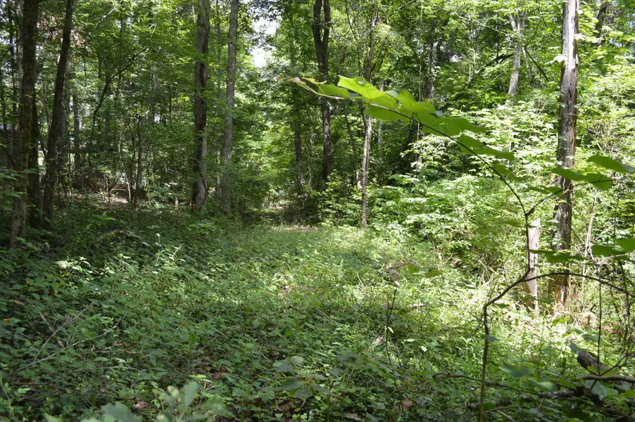 382 Carolyn Lane LN, Decatur, TN 37322