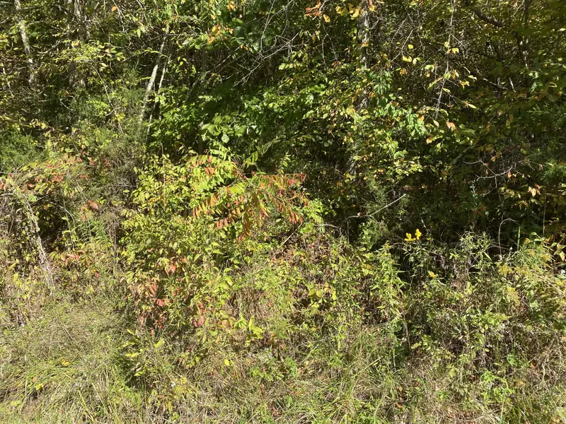 363 White Plains Rd, Vonore, TN 37885