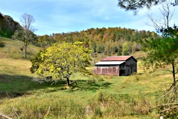 Sneedville, TN 37869,00 Sinks Rd