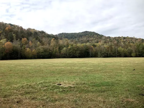 Delk Creek Rd, Pall Mall, TN 38577