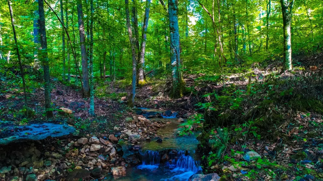 Maple LN, Newport, TN 37821