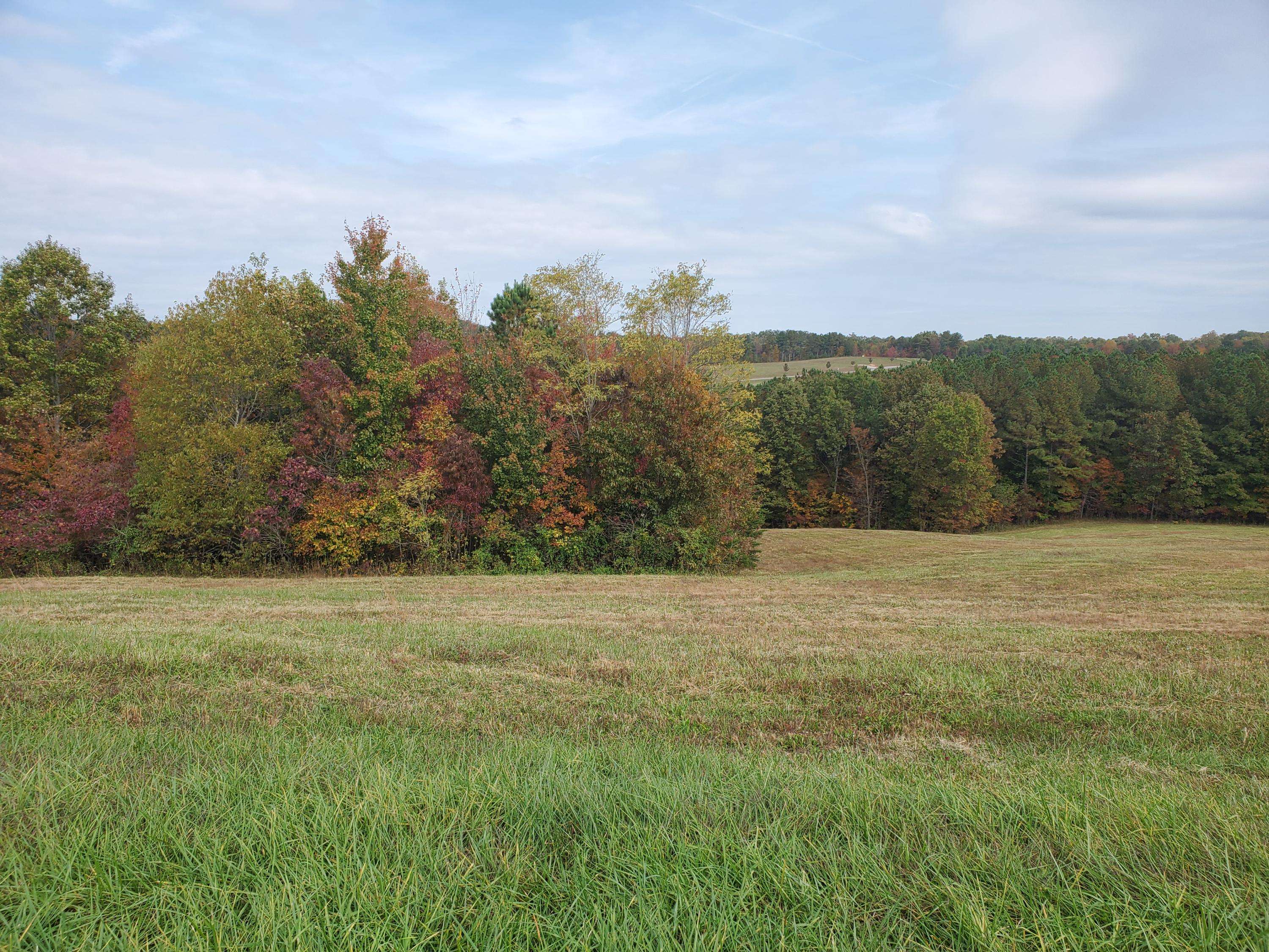 Jamestown, TN 38556,Lot 45 Nichol Creek DR