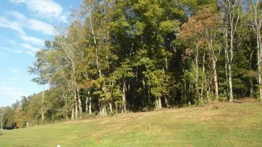 Louisville, TN 37777,Lot 147 Timberhead LN