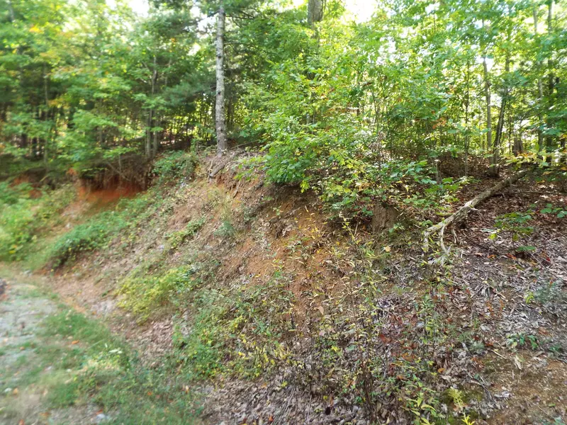 Emerald Springs Loop, Sevierville, TN 37862