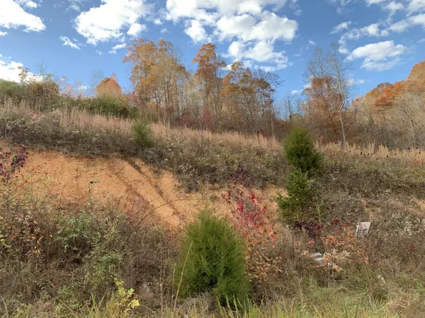 Lafollette, TN 37766,lot 71 Cameron LOOP