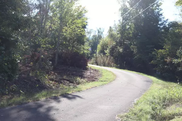 Madisonville, TN 37354,Lot 82 Polly Mountain Rd,