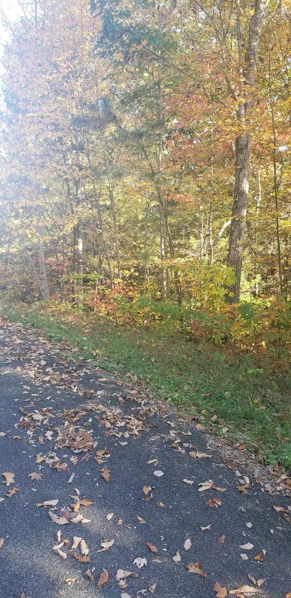 Sevierville, TN 37876,Lot 7-R Woodcock Trail