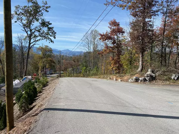 Gatlinburg, TN 37738,Lot 5 Old Cartertown Road