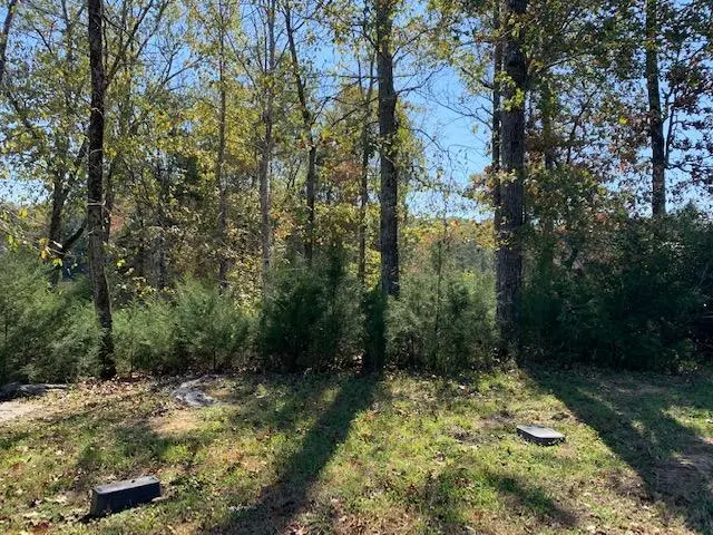 Shore lot 21 DR, Rockwood, TN 37854