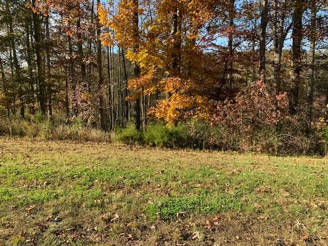 Rockwood, TN 37854,Shore lot 467 DR