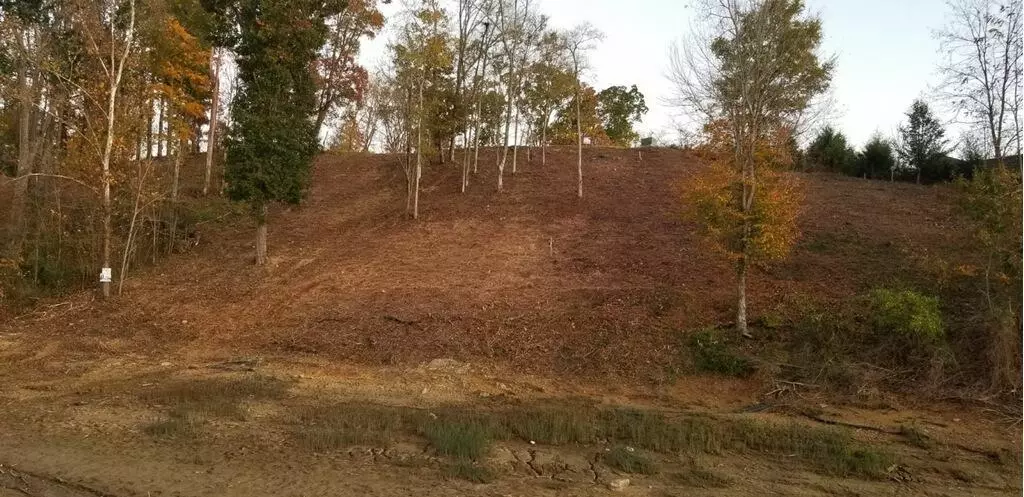 Sevierville, TN 37876,Lot 49 Rocky Point Way WAY