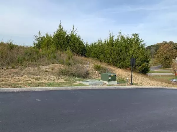 Sevierville, TN 37876,LOT 89 Blue Herring WAY