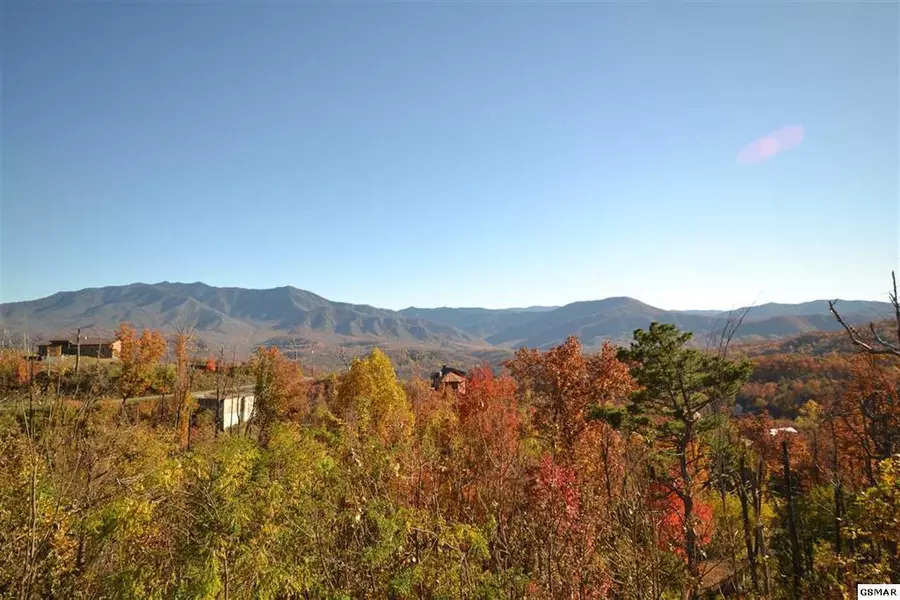 829 Wiley Oakley Drive, Gatlinburg, TN 37738