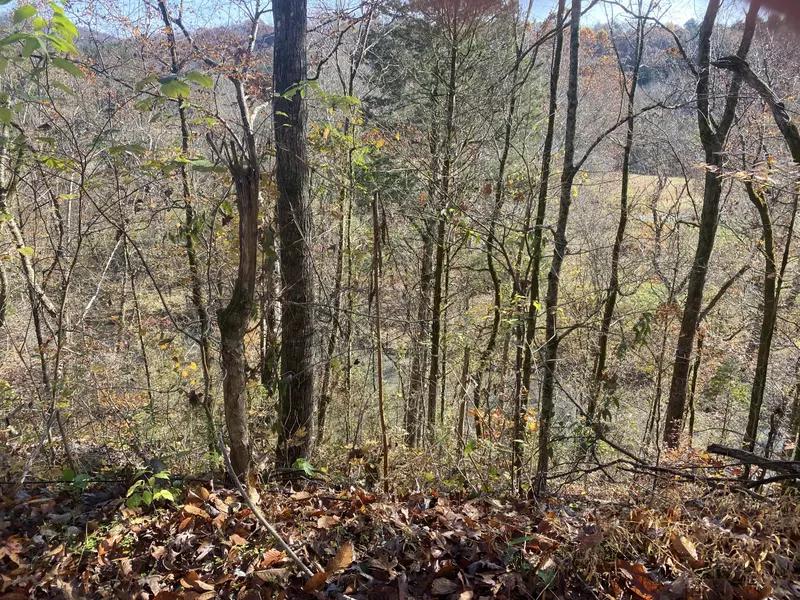 Big Sewee Rd, Decatur, TN 37322