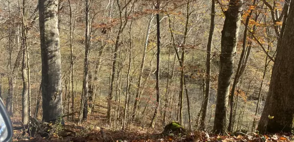 Decatur, TN 37322,Big Sewee Rd