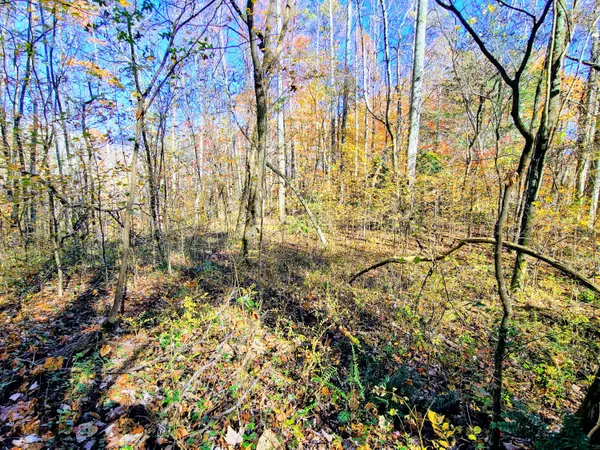 Rocky Top, TN 37769,Vowell Mountain LN