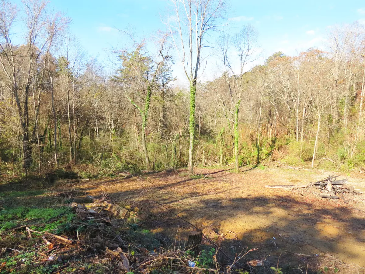 Morristown, TN 37813,Lot 5 Daniels DR