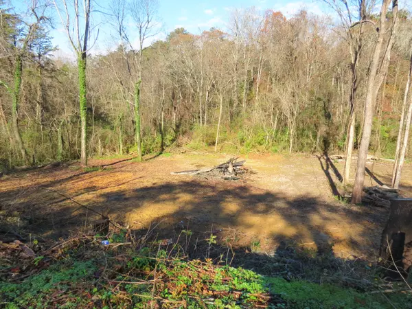 Morristown, TN 37813,Lot 5 Daniels DR