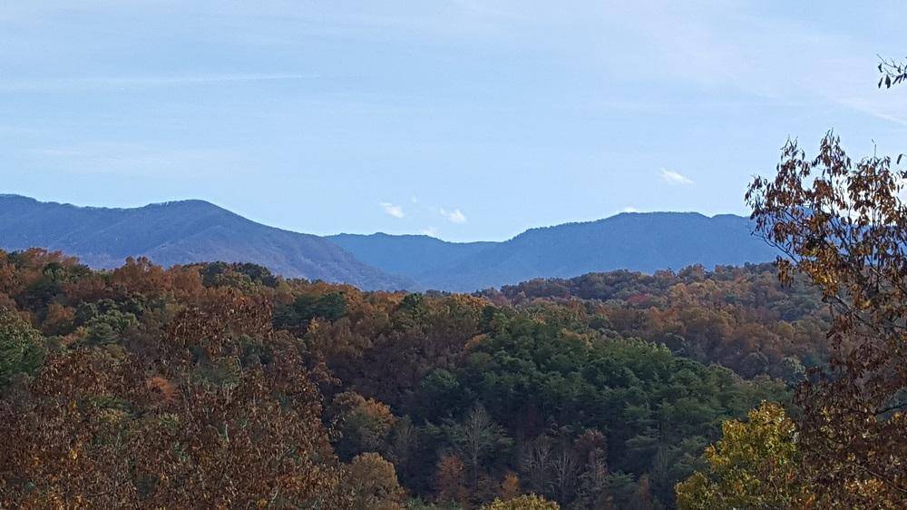 Sevierville, TN 37876,3933 Dollys DR #56A/B