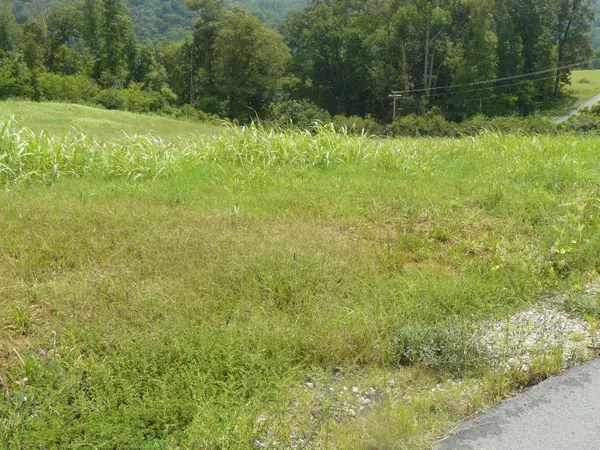 Lot 12 Lookout Drive, Rutledge, TN 37861