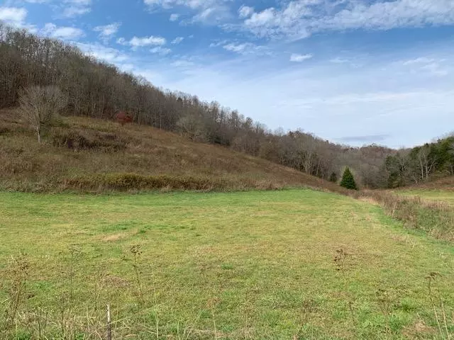 2082 Dry Mill Creek Road Rd, Hilham, TN 38568