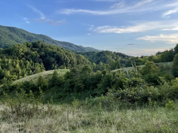 Seymour, TN 37865,0 Old Chilhowee Road