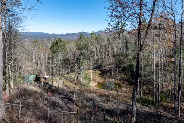 Townsend, TN 37882,985 Old Cades Cove Rd