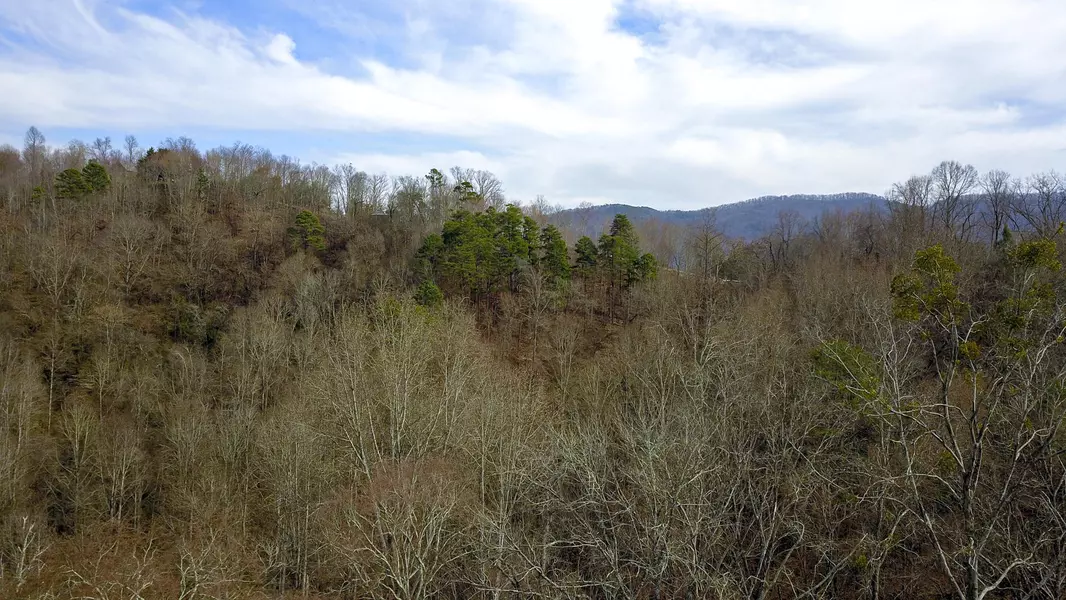 331 Chestnut Ridge Rd, Walland, TN 37886