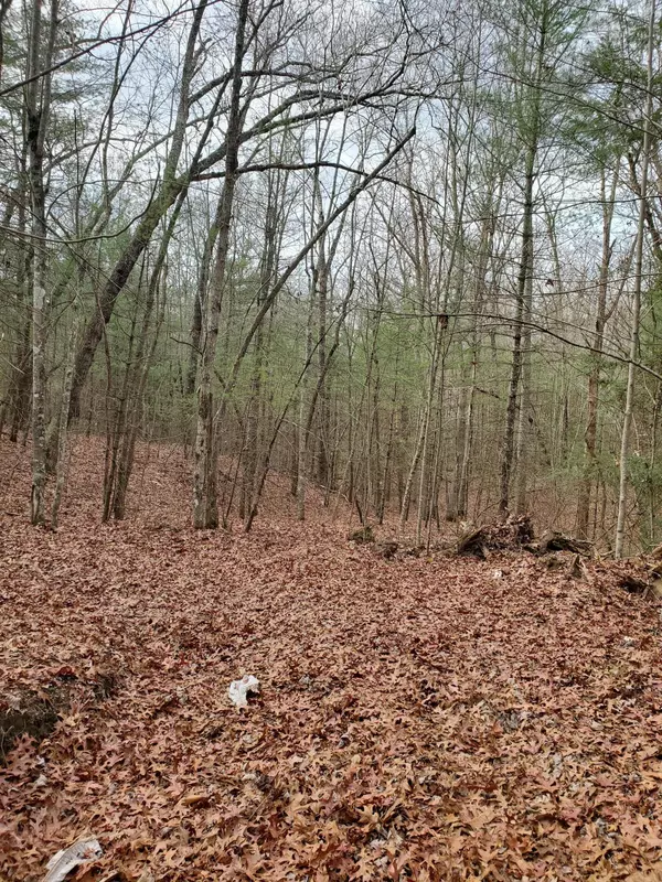 Lot 505 Trailhead LN, Jamestown, TN 38556