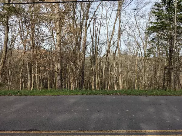 White Pine, TN 37890,Lot 27 Lakeside Dr