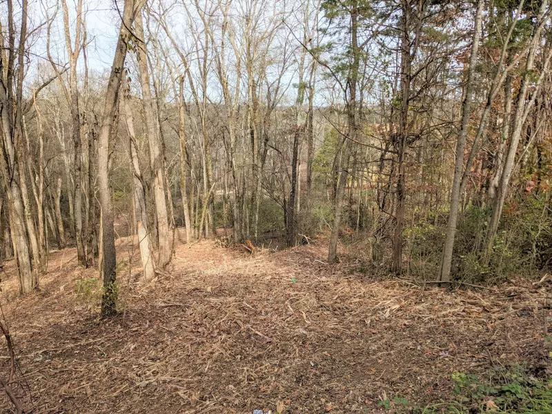 Lot 27 Lakeside Dr, White Pine, TN 37890