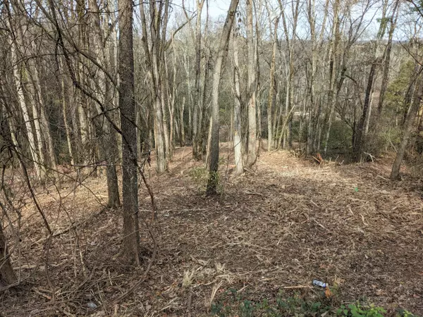 White Pine, TN 37890,Lot 27 Lakeside Dr