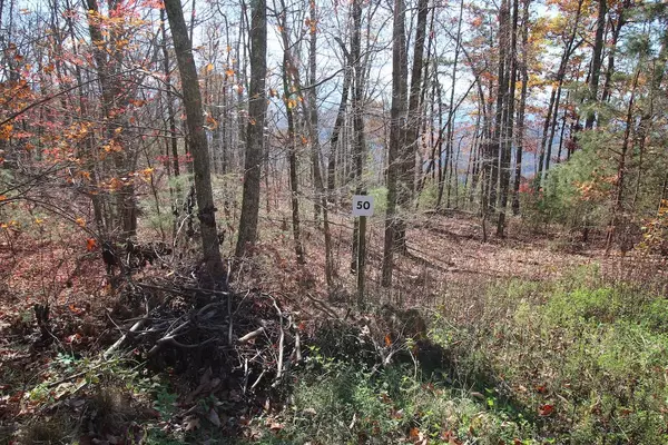 Lot 50 Mountain Ash Way, Sevierville, TN 37876