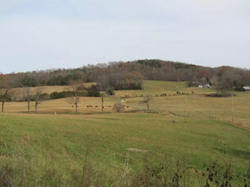 Sparta, TN 38583,10.50ac Walker Cove Rd