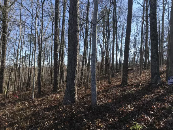 Caryville, TN 37714,Lot 54 Cove CIR