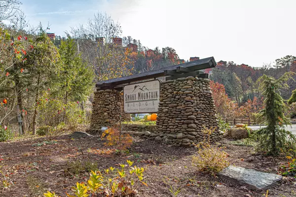 Sevierville, TN 37862,Lot 97 Laurel Point Way