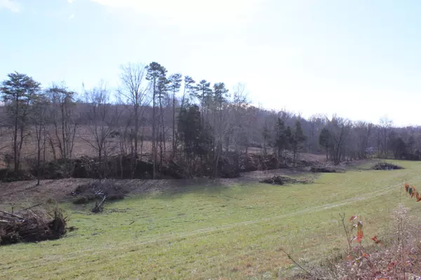 Knoxville, TN 37938,Lot 4 Cabbage DR