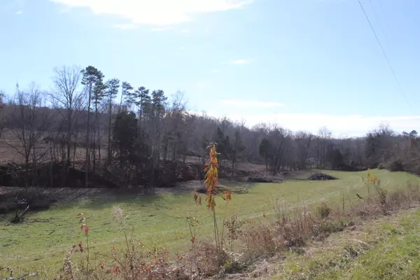 Knoxville, TN 37938,Lot 4 Cabbage DR