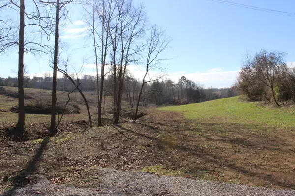 Knoxville, TN 37938,Lot 4 Cabbage DR