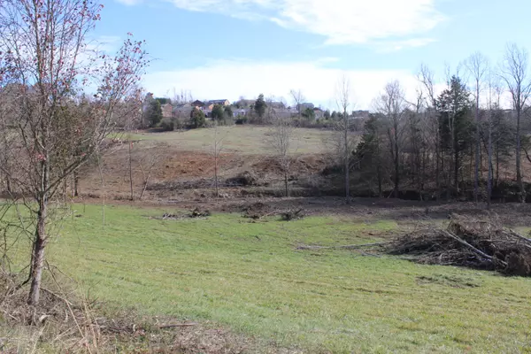 Knoxville, TN 37938,Lot 4 Cabbage DR