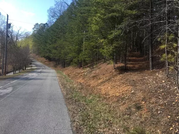 Lafollette, TN 37766,Lot 17 Cove Point Rd