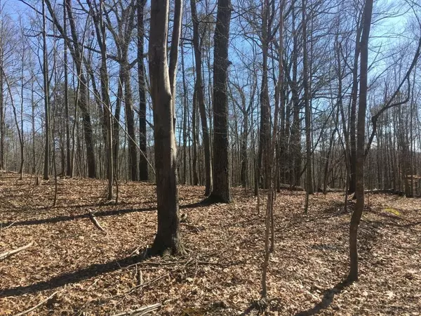 Lafollette, TN 37766,Lot 17 Cove Point Rd