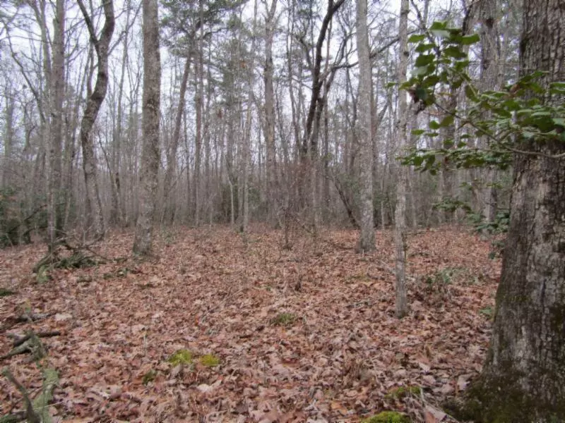 Lot 6 East Overlook Rd, Monterey, TN 38574