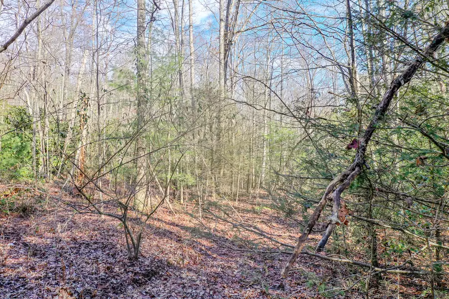 Avens Lane Lot 9 LN, Tallassee, TN 37878